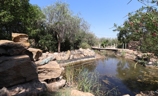 Herverkoop - Country Property - Catral - Catral - Country