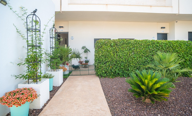 Herverkoop - Apartment - Pilar de la Horadada - Lo Romero Golf