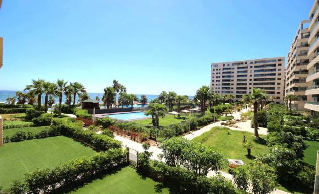 Herverkoop - Apartment - Torrevieja - Punta prima