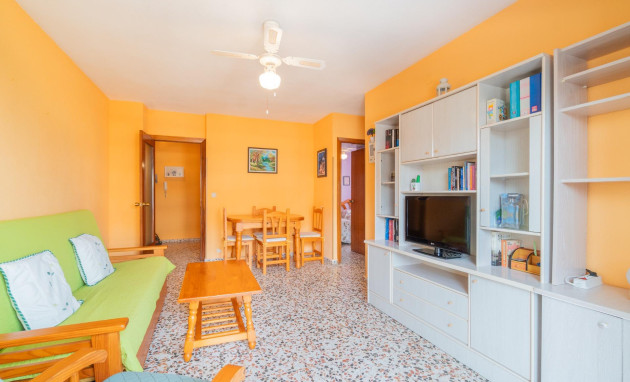 Reventa - Apartment - Torrevieja - torrevieja