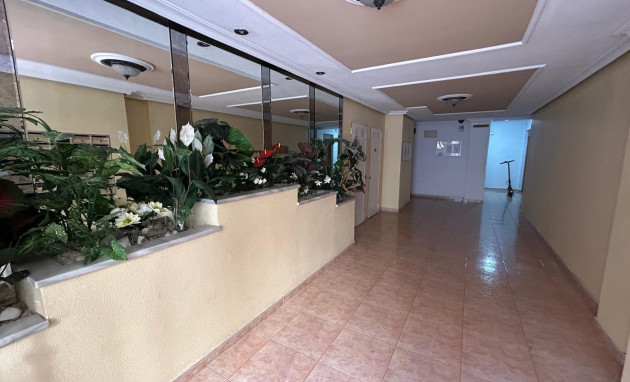 Herverkoop - Penthouse - Torrevieja - torrevieja