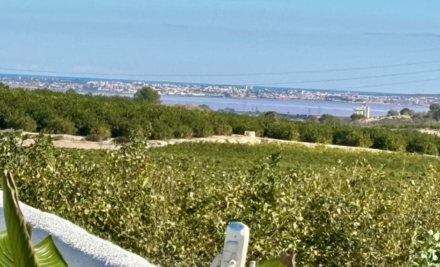 Revente - House - San Miguel de Salinas - Pueblo 9