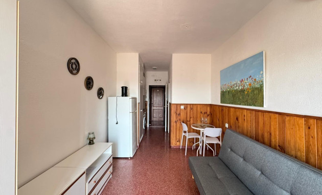 Herverkoop - Studio - Torrevieja - torrevieja