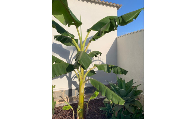 Herverkoop - Villa / Detached - Ciudad Quesada - Quesada Center