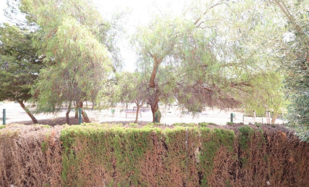 Herverkoop - Bungalow - Gelijkvloers - Orihuela Costa - Punta Prima