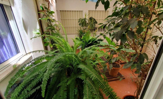 Herverkoop - Apartment - Torrevieja - Los Europeos