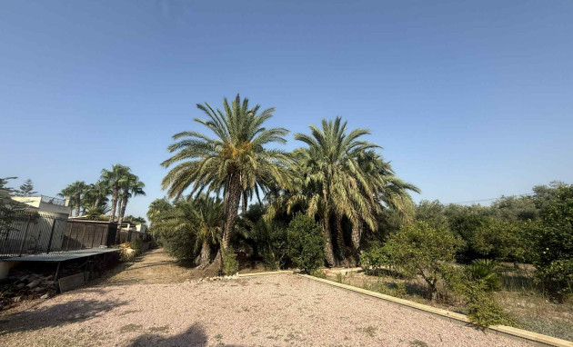 Resale - Country Property - Catral