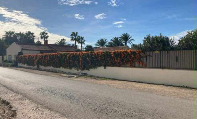 Resale - Country Property - Catral