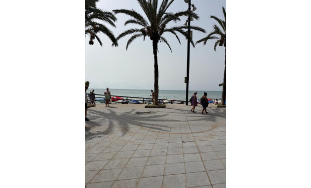 Herverkoop - Apartment - Torrevieja - Playa del cura