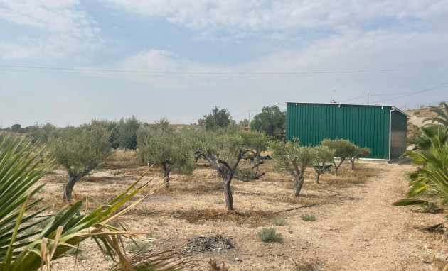 Herverkoop - 5. Finca / Country Property - Abanilla