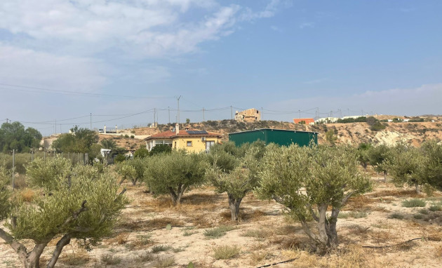 Herverkoop - 5. Finca / Country Property - Abanilla