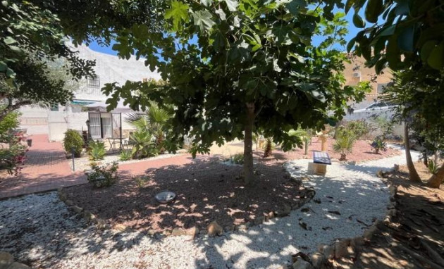 Herverkoop - Villa - Torrevieja - La Siesta - El Salado - Torreta