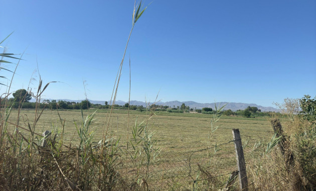 Herverkoop - Terraced house - Almoradi - El saladar