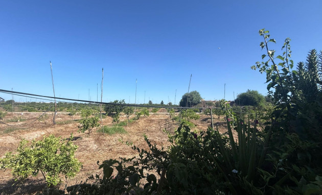 Herverkoop - Terraced house - Almoradi - El saladar