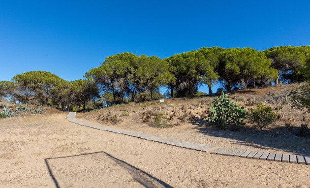 Herverkoop - Apartment - Guardamar del Segura - Urb. pinomar