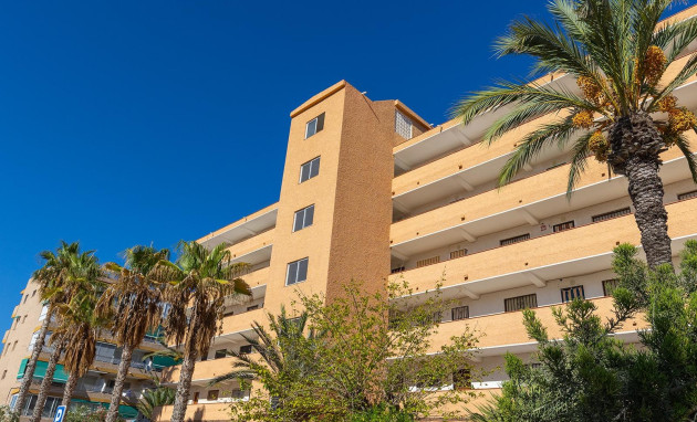 Herverkoop - Apartment - Guardamar del Segura - Urb. pinomar