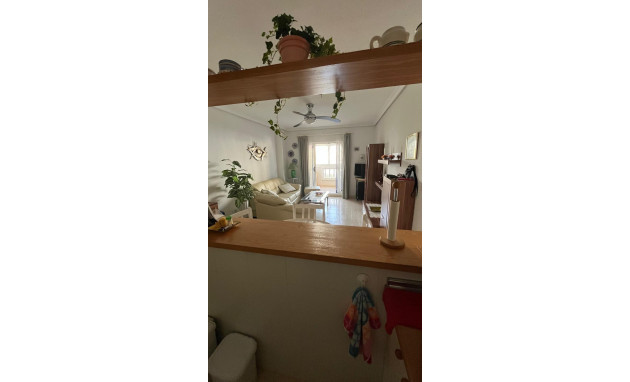 Herverkoop - Apartment - Torrevieja - Torreblanca