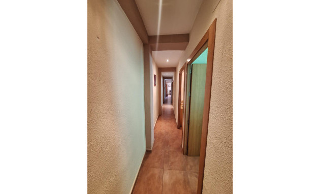 Herverkoop - Apartment - Torrevieja - Playa del cura