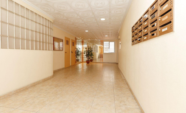 Reventa - Apartment - Torrevieja - torrevieja