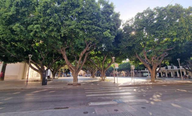 Herverkoop - Apartment - Almoradi - Centro urbano 2