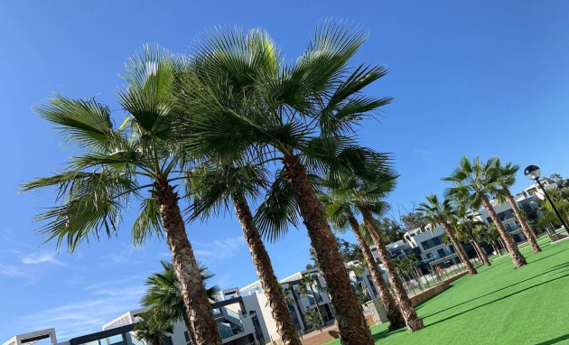 Revente - Bungalow - Rez-de-chaussée - Guardamar del Segura - EL RASO