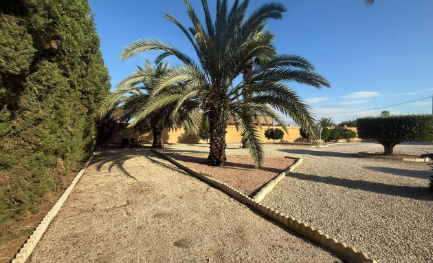 Reventa - Country Property - Catral