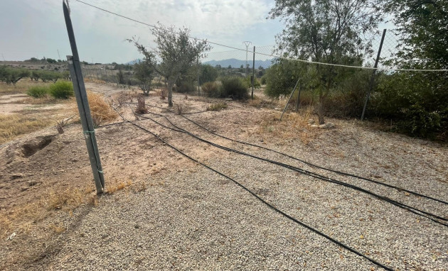 Herverkoop - 5. Finca / Country Property - Abanilla