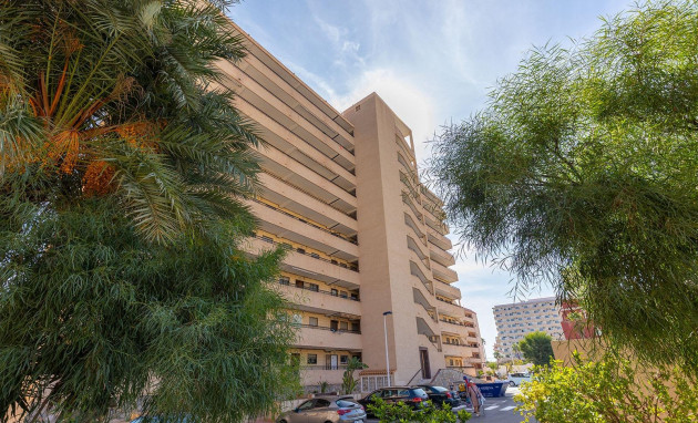 Herverkoop - Flat - Torrevieja - La Mata