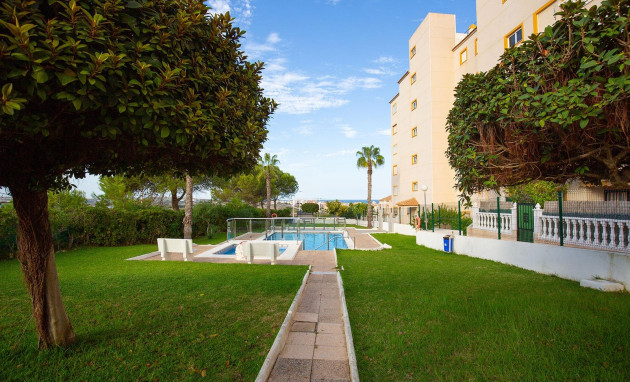 Revente - Apartment - Torrevieja - Torreblanca