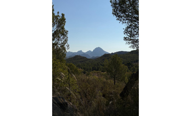 Herverkoop - Country Property - Villajoyosa - El Secanet - Hacienda del Sol