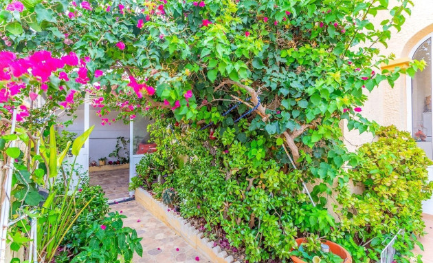 Herverkoop - Villa - Orihuela Costa - La Zenia