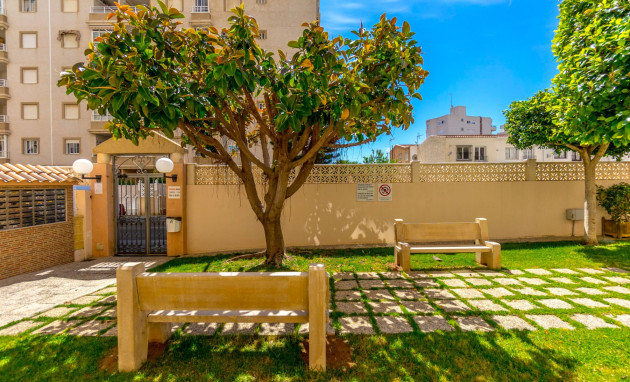 Herverkoop - Apartment - Torrevieja - Torrevieja - Centre
