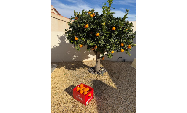 Herverkoop - Detached Villa - Ciudad Quesada - La Marquesa