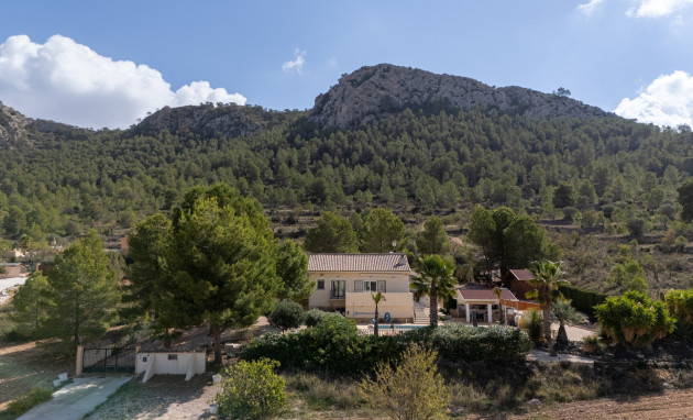 Revente - Independent villa - La Zarza