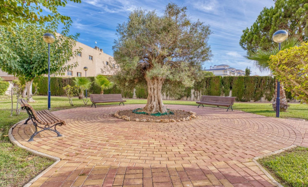 Herverkoop - Apartment - Torrevieja - Los Europeos