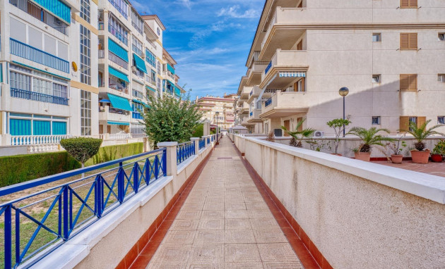 Herverkoop - Apartment - Torrevieja - Los Europeos