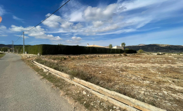 Herverkoop - Finca / Country Property - Abanilla