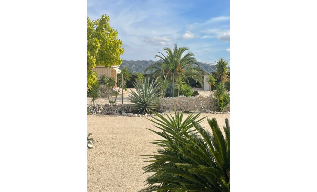 Herverkoop - Finca / Country Property - Abanilla