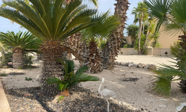 Herverkoop - Finca / Country Property - Abanilla