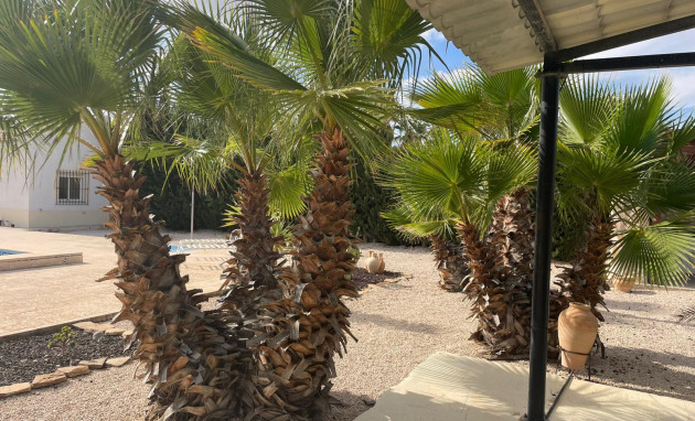 Herverkoop - Finca / Country Property - Abanilla