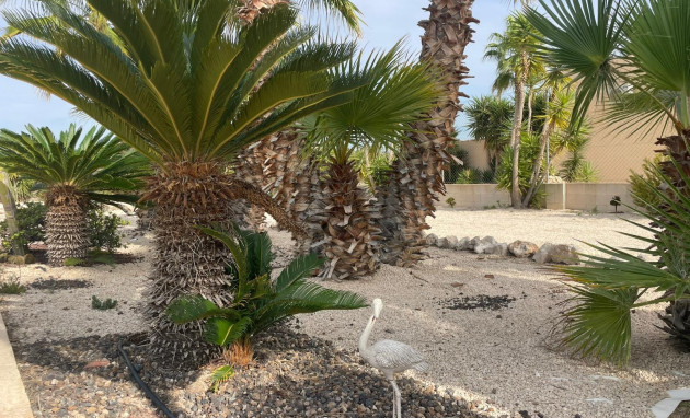 Herverkoop - Finca / Country Property - Abanilla