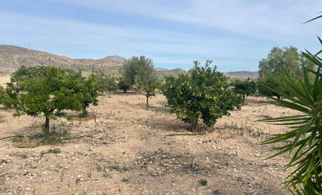 Herverkoop - Finca / Country Property - Abanilla