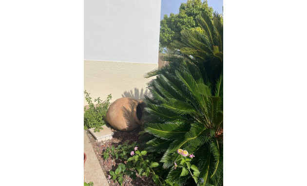 Herverkoop - Finca / Country Property - Abanilla