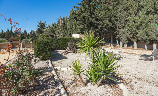 Herverkoop - Country Property - Los Montesinos - Los Montesinos - Country