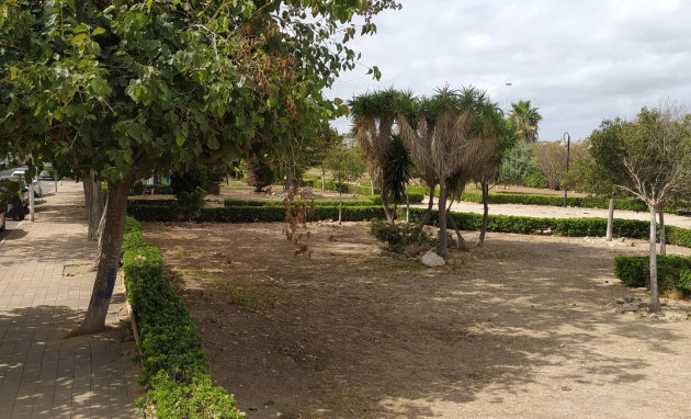 Herverkoop - Studio - Torrevieja - Acequion