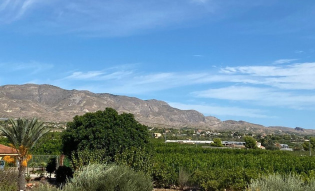 Revente - Country Property - Albatera - Costa Blanca