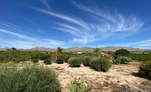 Revente - Country Property - Albatera - Costa Blanca