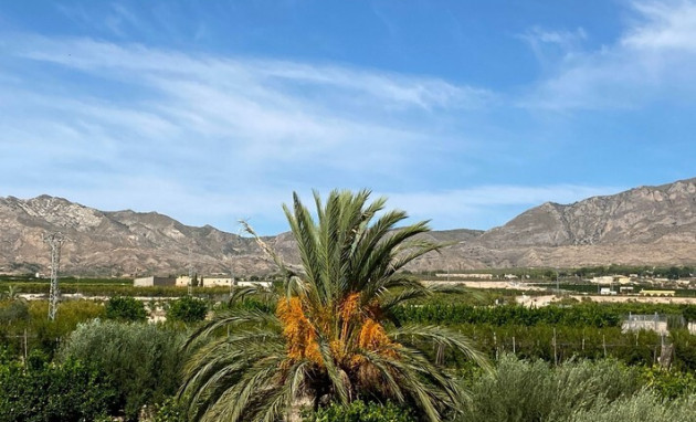 Revente - Country Property - Albatera - Costa Blanca