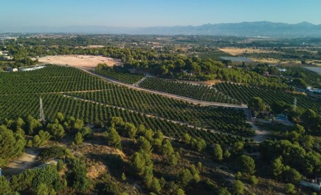 Nieuwbouw - Semidetached - Godella - Campolivar