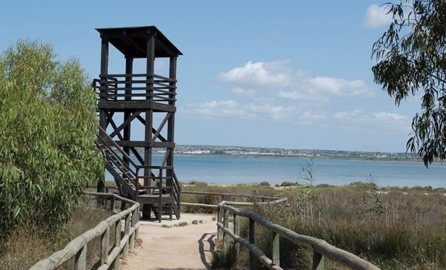 Herverkoop - Apartment - La Mata - La Mata - Town